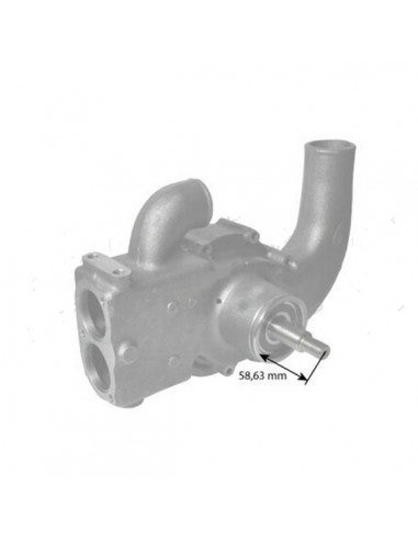 744228M91GN - Bomba Agua Adaptable Landini-Massey Ferguson