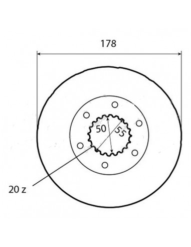6005007339GN - Renault Disco Freno Adaptable 20 Estrías 178 mm.