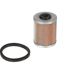 2175205 - Lombardini Filtro Gasoil Minsel M380-M430-RF80