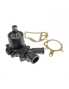 4222002M91GN - Bomba Agua Sin Polea Adaptable Massey Ferguson - Landini - JCB