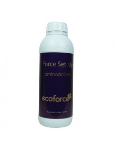 Aminoácido Force Set Up 1 L