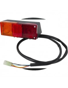 44906525GN - Luz Trasera Izquierda Adaptable Fiat - Ford