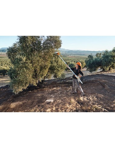 Vareador Stihl SPA 140