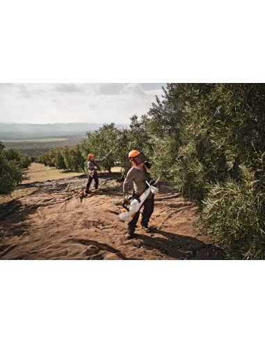 Vareador Stihl SP 452