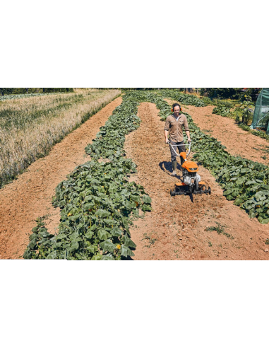 Motoazada Stihl MH 600