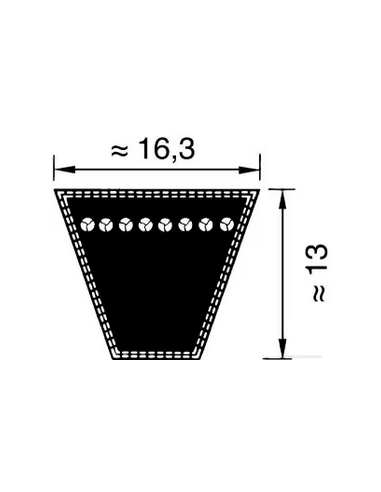 correa trapecial adp. kuhn correa trapecial adp. kuhn