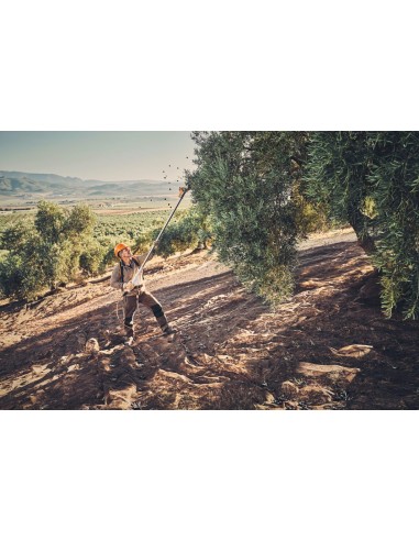 SPA 130 + SC2 A+cable+arnés + 2...