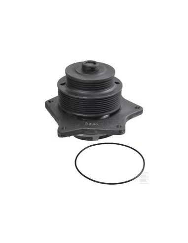 bomba de agua adp. series tm/mxm