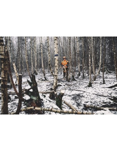 Podadora de altura HTA 150, 3/8" PMM3...