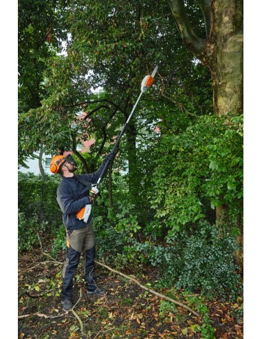 Podadora de altura Stihl HTA 66