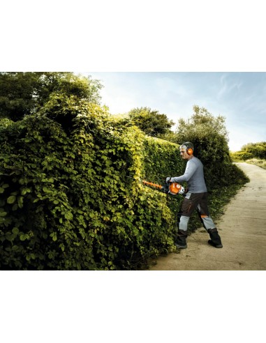 Cortasetos Stihl HS 82 R (Poda)...