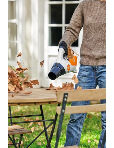 Soplador Stihl Batería Set BGA 30.0 +...