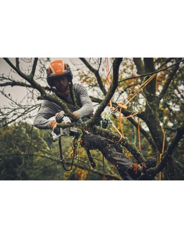 Mini-sierra de Batería Stihl GTA 40 +...