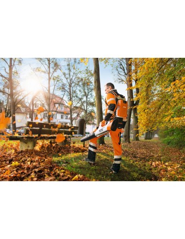 Soplador Stihl BGA 100