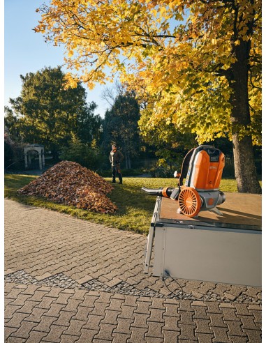 BGA 300, SOPLADOR, sin batería y sin...