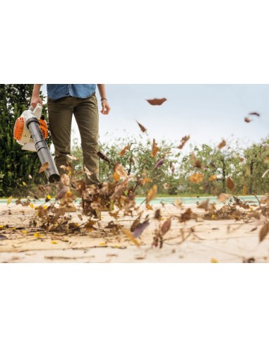 Soplador Stihl BG 56