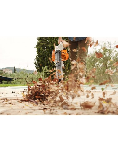 Soplador Stihl BG 56