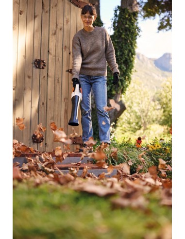 soplador de acumulador sin...