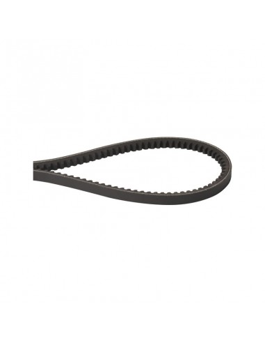 Correa trapezoidal AVX 10x1175 mm