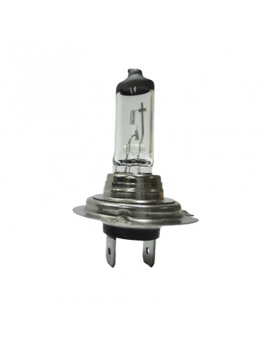 Bombilla Halógena H7 24V 70W PX26d