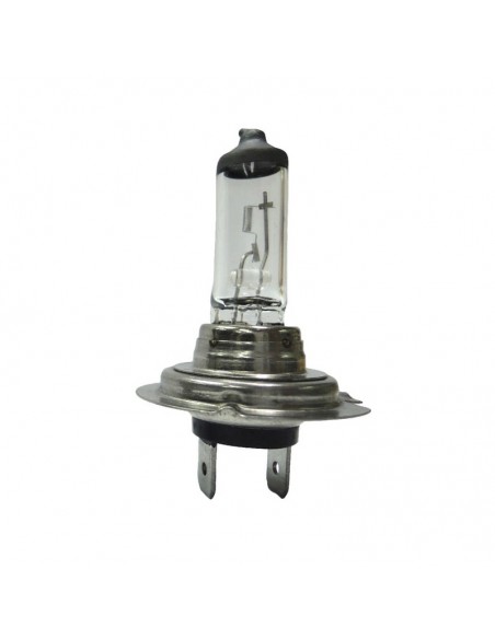 Bombilla Halógena H7 24V 70W PX26d