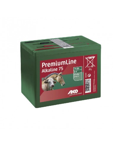 Pila alcalina 9 V - 75 A