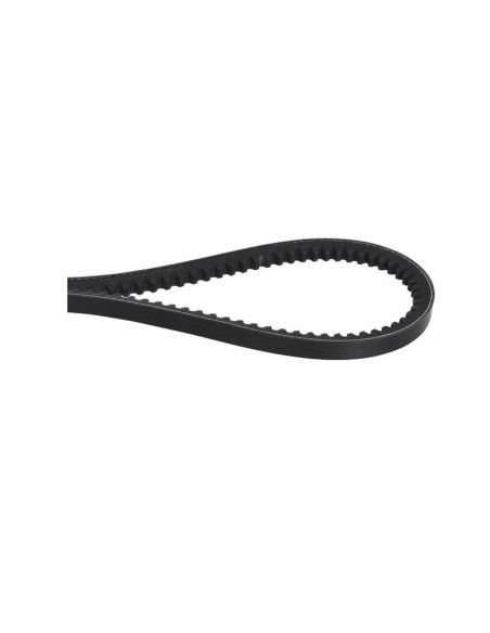 Correa trapezoidal AVX 10x1025 mm