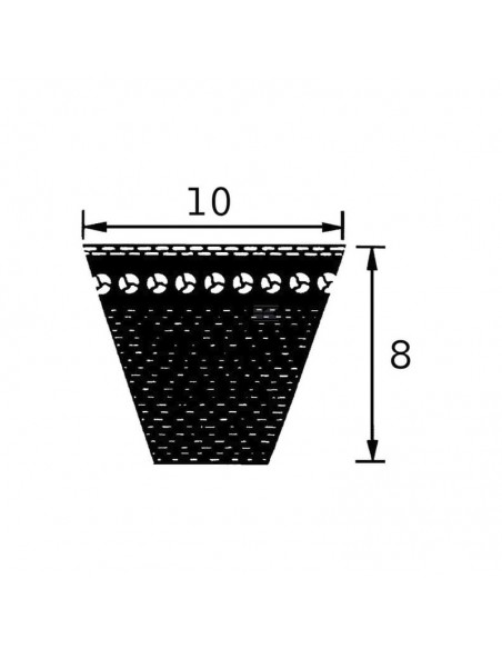 Correa trapezoidal AVX 10x1025 mm