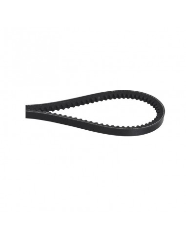 Correa trapezoidal A61 13x1550 mm