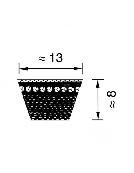 Correa trapezoidal A61 13x1550 mm