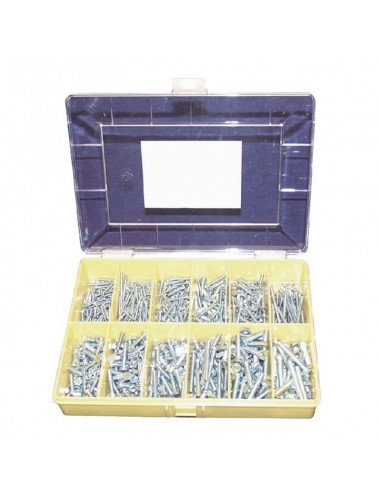 surtido 180  tornillos cabeza abombada din84