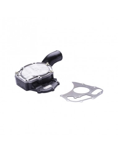 Bomba Agua Massey Ferguson series 5400, 6400, 275, 290, 47... Adaptable