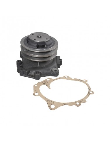 Bomba Agua New Holland Doble Polea serie Ford 1000, 2000, 3000, 4000, 5000... Adaptable