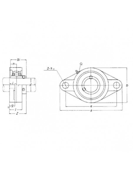 UCFL208GP - Rodamiento para Brida Ovalada Completa 175x100 mm.