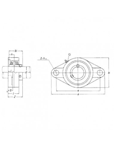 UCFL206GP - Rodamiento para Brida Oalada Completo 148x80 mm.