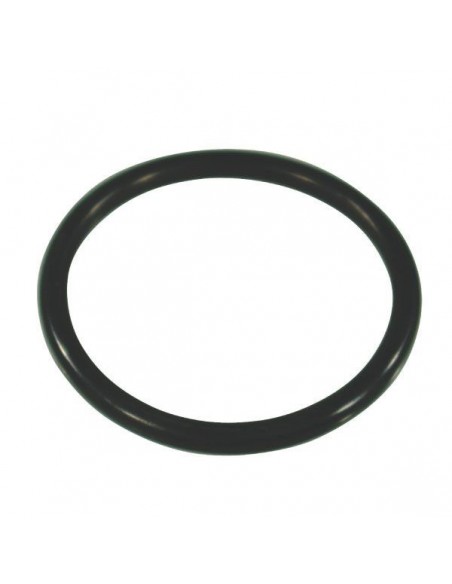 320511 - Annovi Reverberi Junta Tórica GS20/GI40