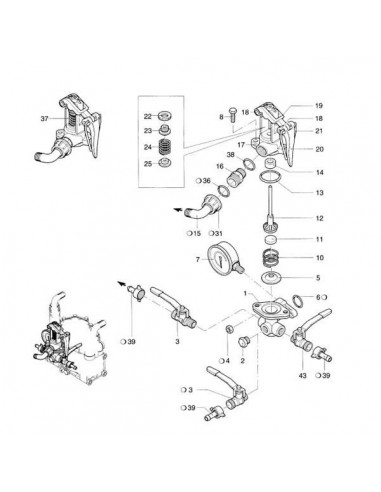 320511 - Annovi Reverberi Junta Tórica GS20/GI40
