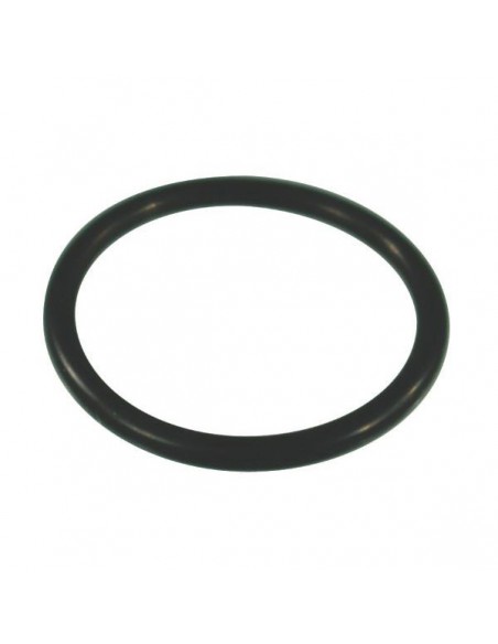 550350 - Annovi Reverberi Junta Tórica 23,81x2,62 mm. GS20/GI40