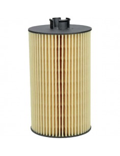 F411201510010 - Fendt Filtro Aceite Motor