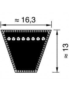 SPB1250 - Correa Trapezoidal 1.250 mm.