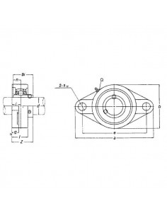 UCFL204GP - Rodamiento para Brida Ovalada Completa 113x60 mm.