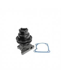 55010600GN - Zetor Bomba Agua Adaptable