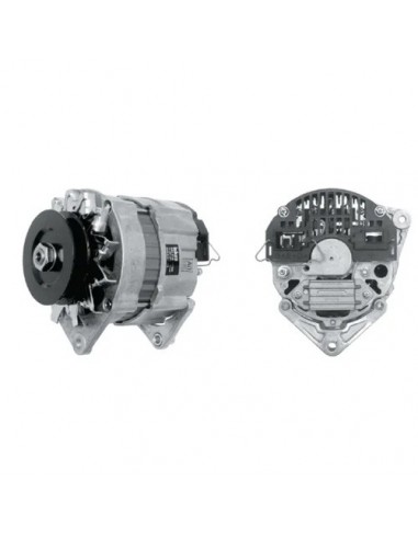 2871A121GN - Landini Alternador 14V 65A Adaptable Series 30-50-60-70-80