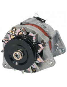 2871A121GN - Landini Alternador 14V 65A Adaptable Series 30-50-60-70-80