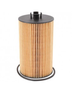 F836200510010 - Fendt Filtro Aceite Motor