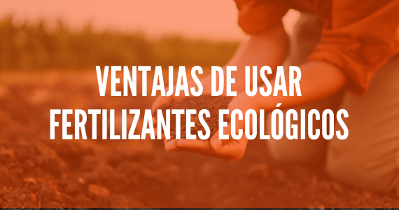 Ventajas de usar fertilizantes ecológicos