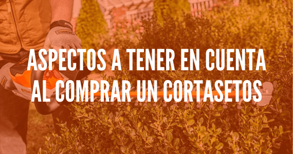 Aspectos a tener en cuenta al comprar un cortasetos