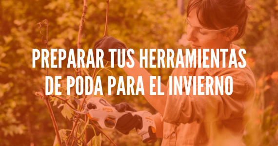 Preparar tus herramientas de poda para el invierno
