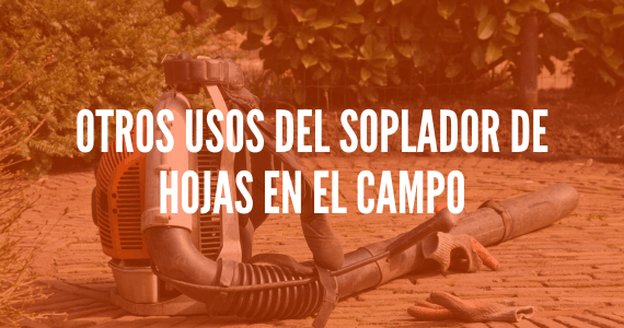 Otros usos del soplador de hojas en el campo: Mucho más que barrer